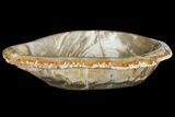 Petrified Wood Bowl - Indonesia #176230-3